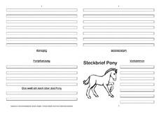 Pony-Faltbuch-vierseitig.pdf